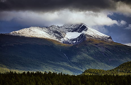 mountain with green trees thumbnail