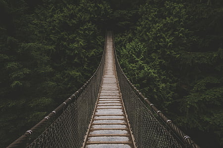 brown bridge covered in trees thumbnail