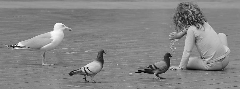 grayscale photo of birds near toddler thumbnail