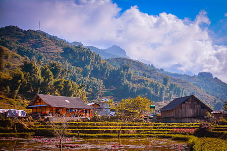 Houses Near Mountains Surrounded by Trees thumbnail