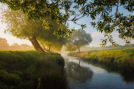 landscape photography of green trees and rive thumbnail