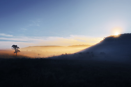 savana photo thumbnail
