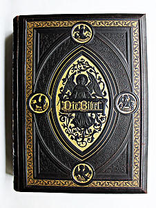 Die Bibel book thumbnail