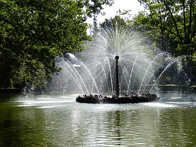 body of water near trees with fountain thumbnail