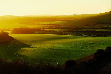 green and brown field during daytime thumbnail