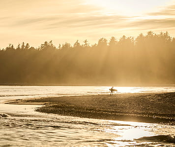 person holding surfboard near sea shore thumbnail