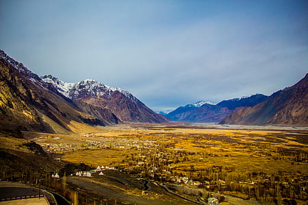 Brown Leaf Plant Near Mountain Under White Clouds at Daytime thumbnail