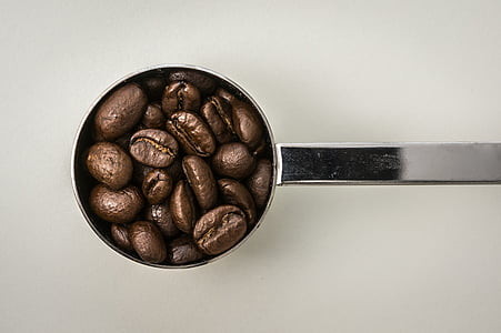 coffee bean on coffee ladle thumbnail