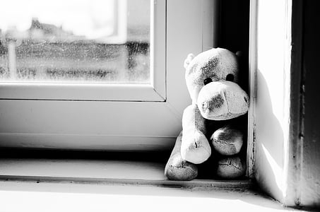 grey animal plush toy thumbnail