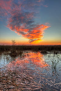 body of water surrounded of grass thumbnail