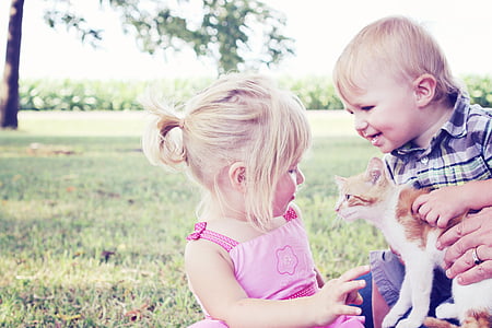 boy holding short-fur white and brown cat in front of girl thumbnail