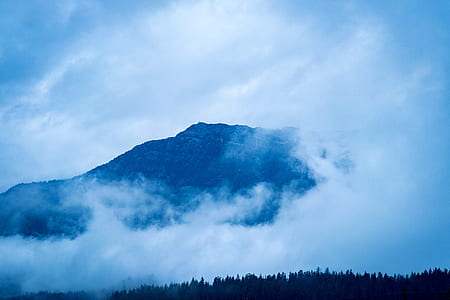 landscape photography of foggy mountain thumbnail