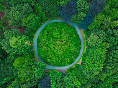 aerial view of green trees field thumbnail