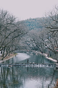 person walking on bridge thumbnail