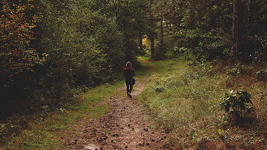 woman wearing red hooded jacket standing near trees thumbnail