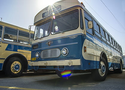 white and blue bus parked beside yellow bus thumbnail