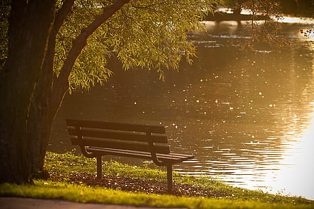 bench near body of water thumbnail