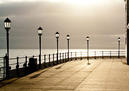 brown pathway with lamp posts beside body of water thumbnail