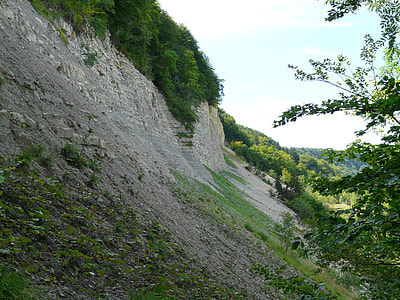 mountain surrounded with plants thumbnail