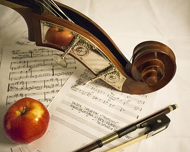 brown violin near red apple thumbnail