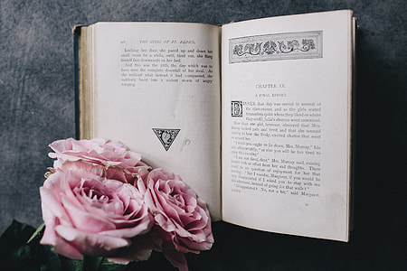 Lovely roseses, book and coffee thumbnail
