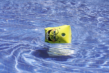 SpongeBob SquarePants floater floating on water thumbnail