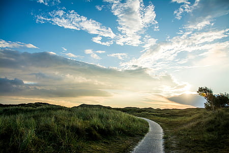 curved gray asphalt road surrounded by grasses thumbnail