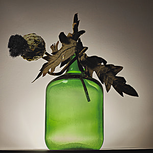 green leaf plant with green glass vase thumbnail