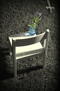 green plant in glass vase on chair thumbnail