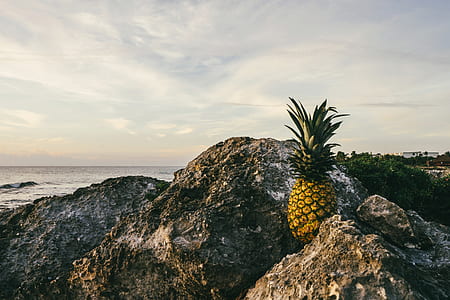 sea, landscape, nature, sky thumbnail