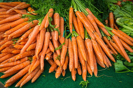bunch of carrots thumbnail