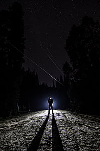 person standing in woods at night thumbnail