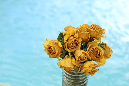 yellow roses on vase thumbnail