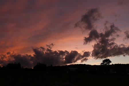 silhoutte photo of trees with grey clouds thumbnail