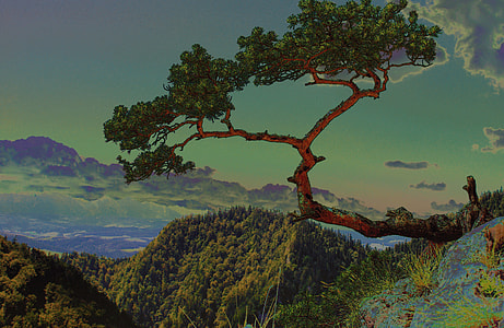 green trees under white cloud blue skies painting thumbnail