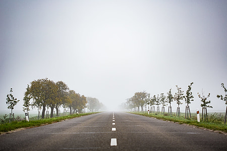 Foggy Road to Nowhere thumbnail