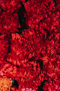 Collection of colourful flower bouquets thumbnail