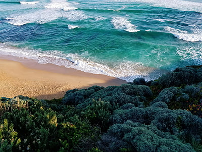 seashore near sea and forest at daytime thumbnail