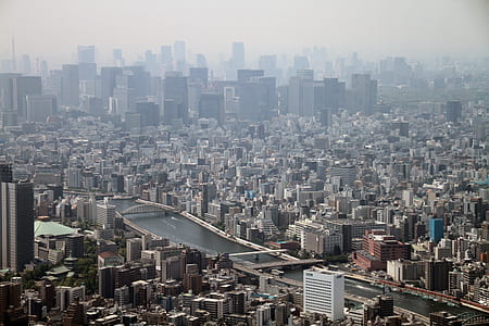 aerial photo of body of water across between the city thumbnail