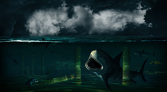 illustration of three sharks thumbnail