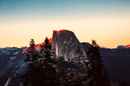 low angle view of silhouette of pine trees near mountain thumbnail