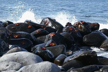 splash of water on black rocks thumbnail