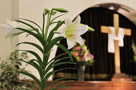 selective focus photo of white trumpet lily near brown cross statue thumbnail