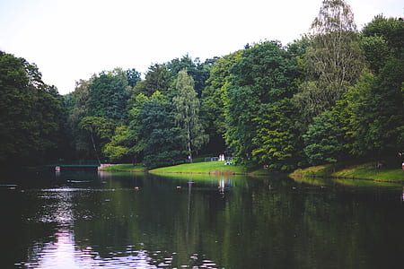 The river in the park thumbnail