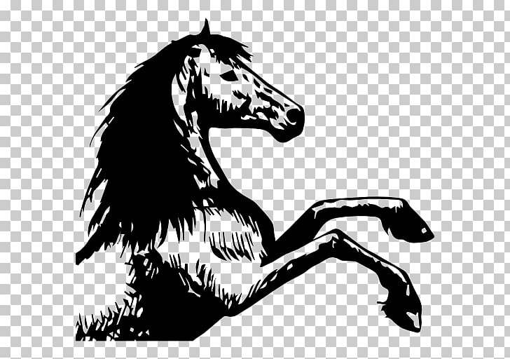 Arabian Horse Rearing Marwari Horse Drawing Horse Breeding Michael Cheval Png Clipart Free Cliparts Uihere