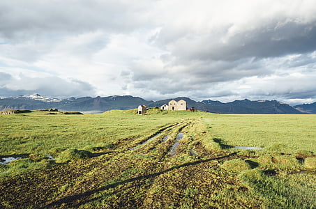 wide green grass field during daytime thumbnail