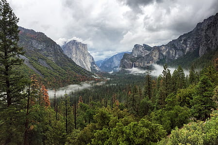 Trees Near Mountain thumbnail