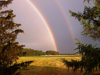 green grass field thumbnail