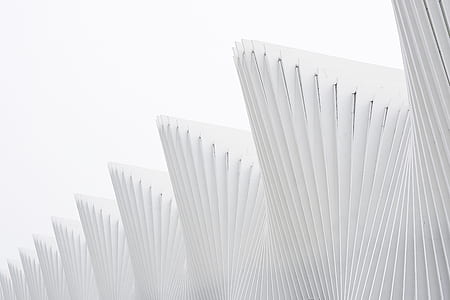 white illustration thumbnail