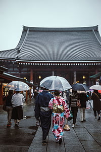 people holding umbrella near temple during daytime thumbnail